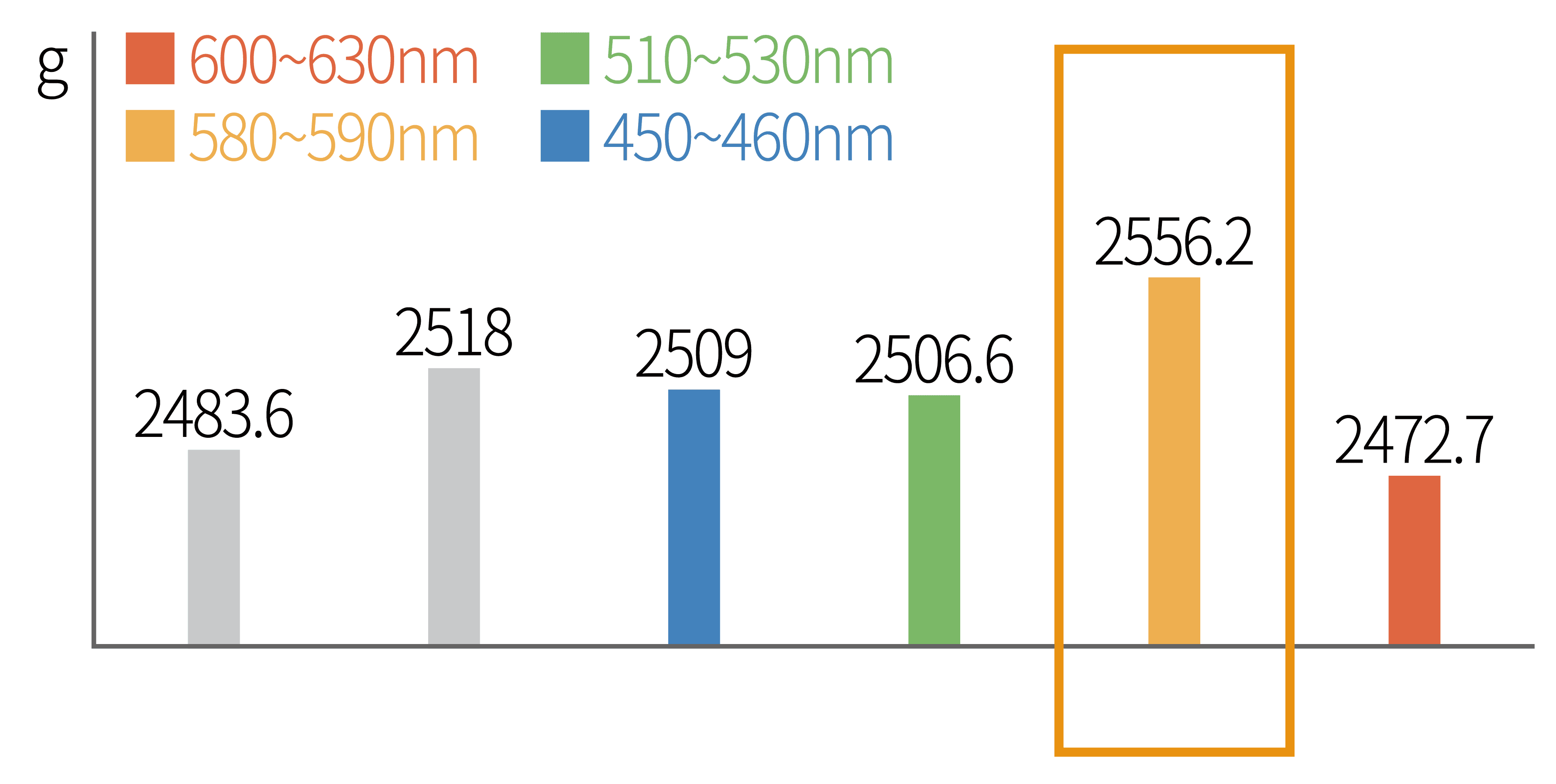 LED 파장별 닭의 몸무게 증가량