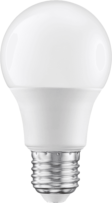 Anti-Bug LED Bulb 5W