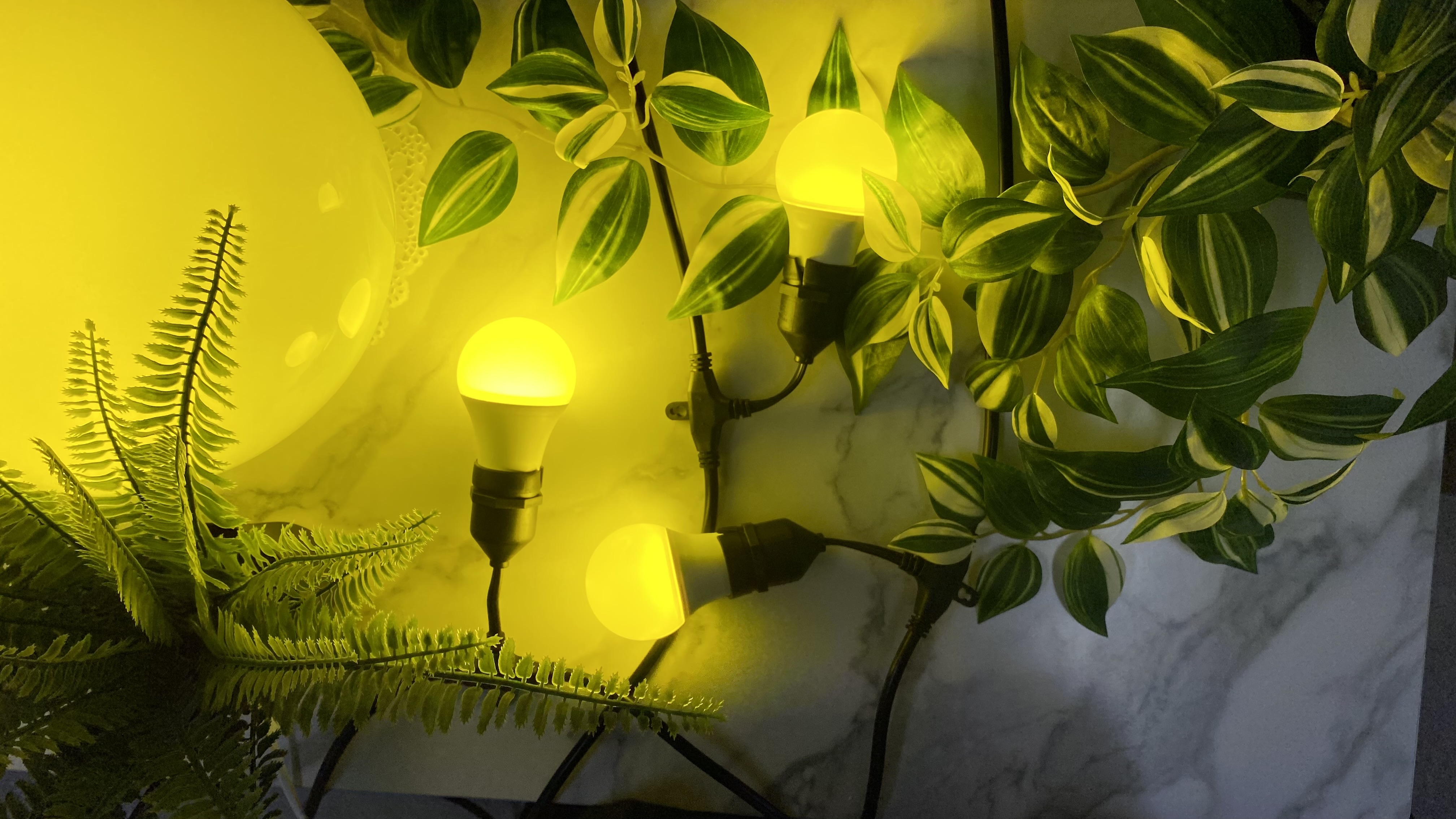 Pest Control Bulb